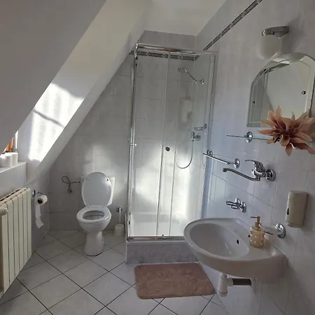 Appart hôtel Julianin Dvor 3*